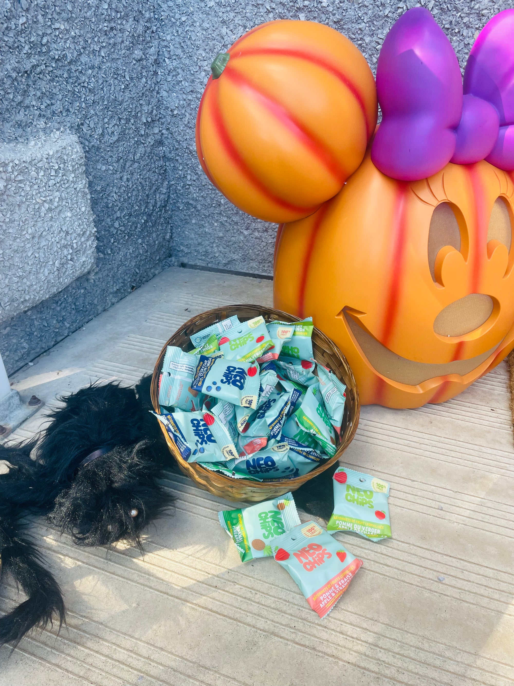 🎃 BOÎTE HALLOWEEN — 50 MINI-SACS